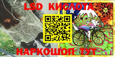 spice Партизанск